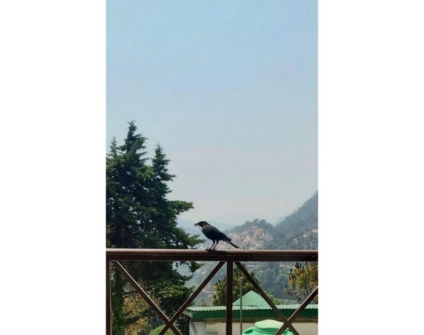 Whistling Thrush Cottage, Bhimtal Nainital Exteriör bild