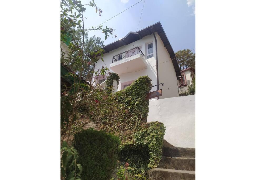 Whistling Thrush Cottage, Bhimtal Nainital Exteriör bild