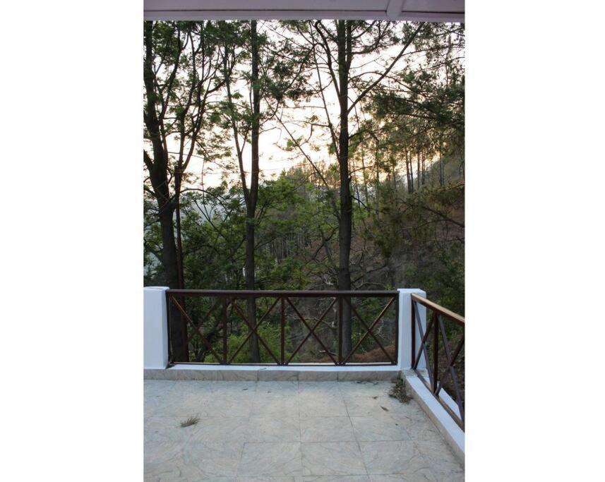 Whistling Thrush Cottage, Bhimtal Nainital Exteriör bild